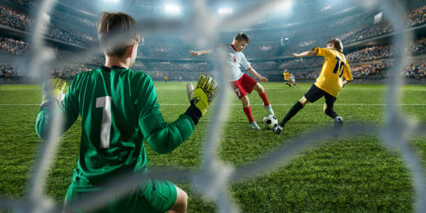 将是尼克斯 将是尼克斯